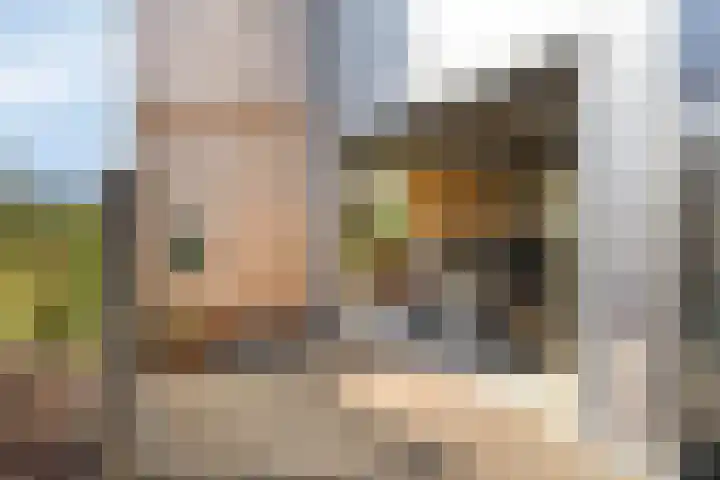 Douglashout 130 Eindhoven thumbnail 8