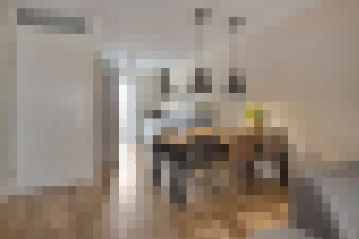Douglashout 65 Eindhoven thumbnail 12