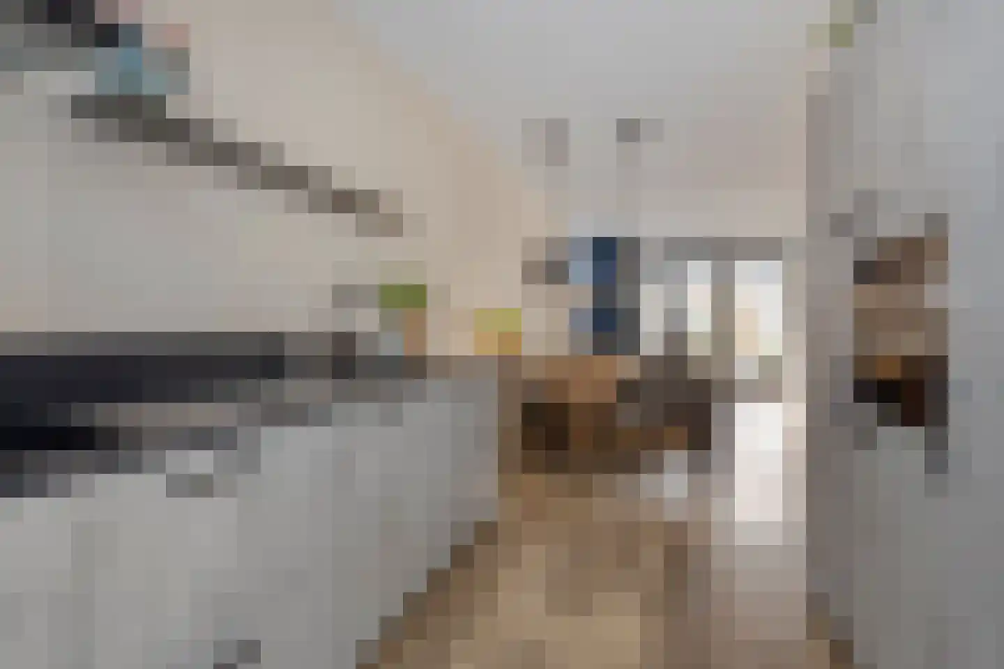 Douglashout 65 Eindhoven thumbnail 15