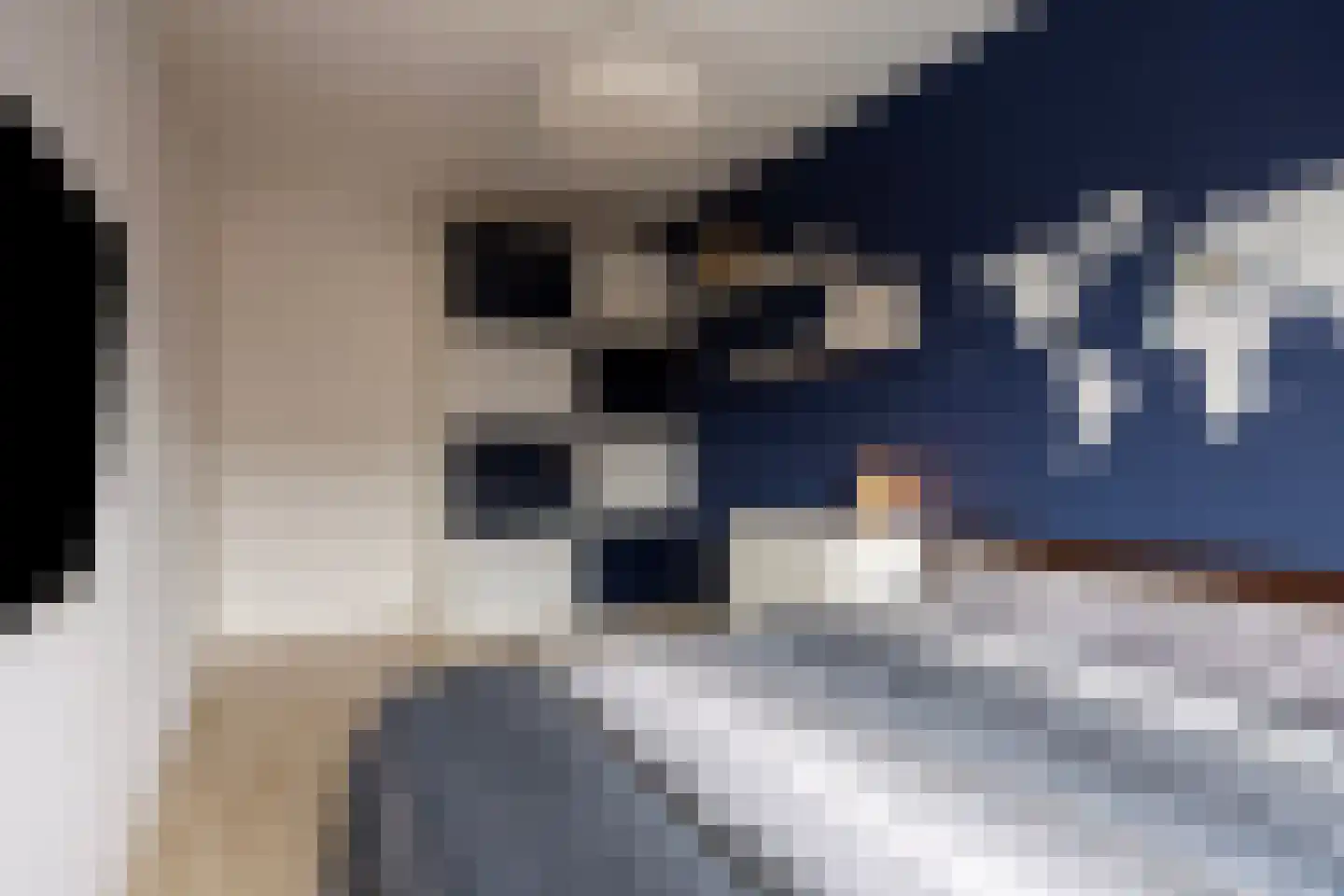 Douglashout 65 Eindhoven thumbnail 18