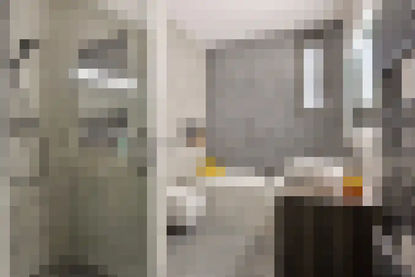 Douglashout 65 Eindhoven thumbnail 19