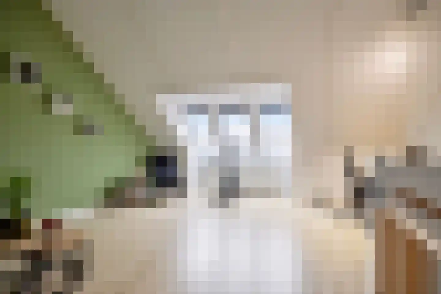 Douglashout 65 Eindhoven thumbnail 26