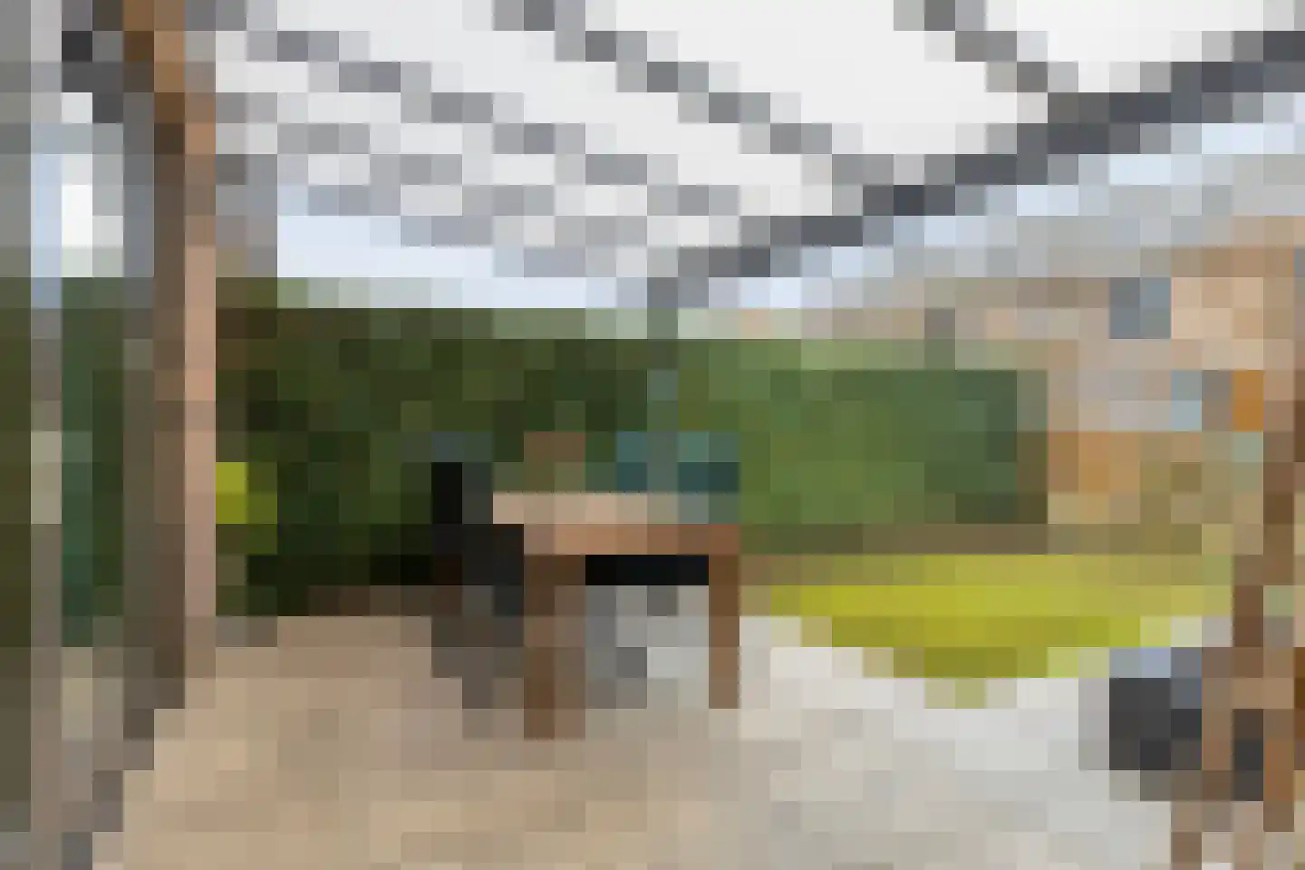 Douglashout 65 Eindhoven thumbnail 30