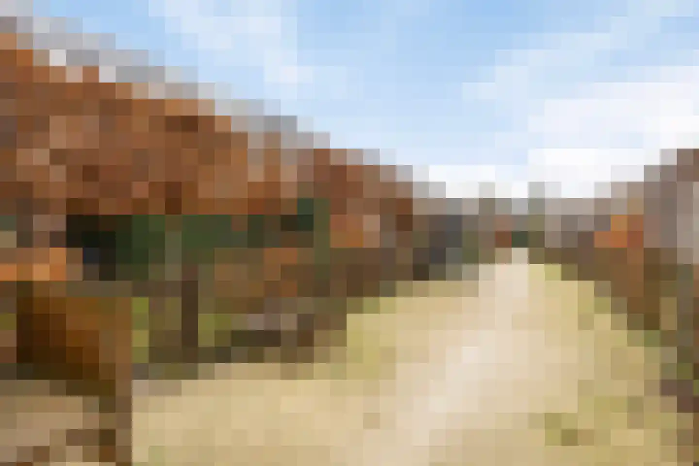 Douglashout 65 Eindhoven thumbnail 34