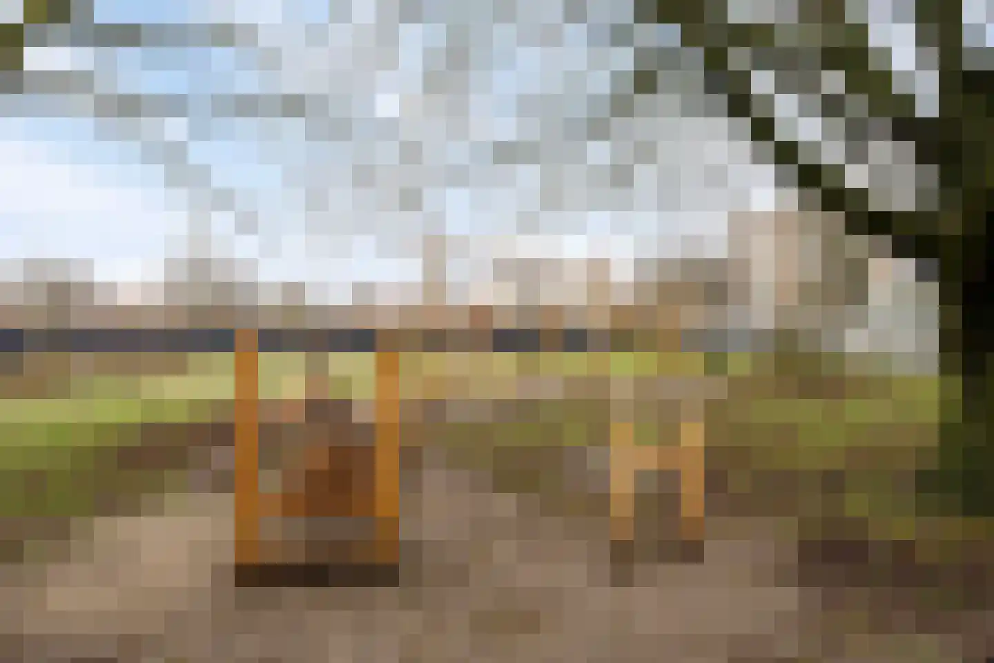 Douglashout 65 Eindhoven thumbnail 36