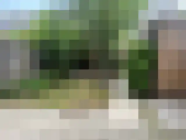 Douglashout 78 Eindhoven thumbnail 10