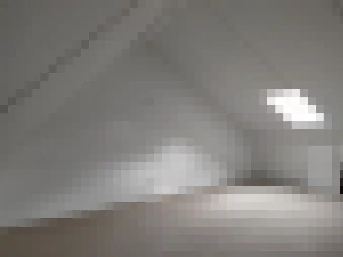 Douglashout 78 Eindhoven thumbnail 8