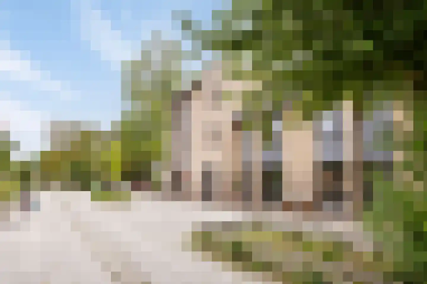Douglashout 93 Eindhoven thumbnail 10