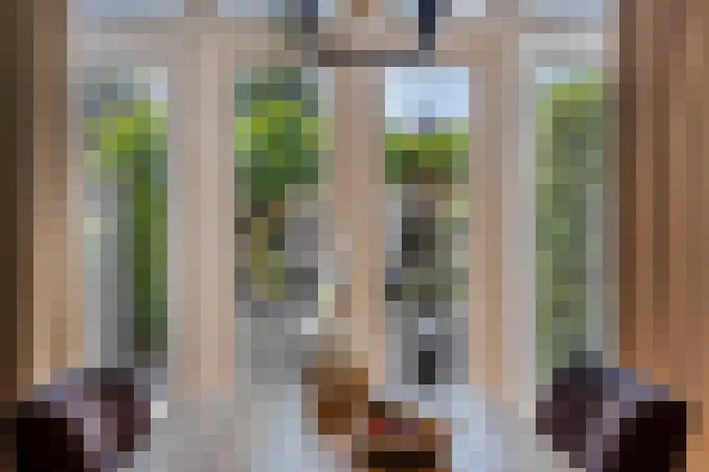 Douglashout 93 Eindhoven thumbnail 17