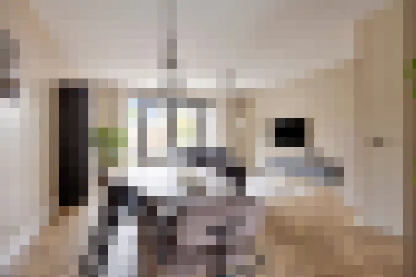 Douglashout 93 Eindhoven thumbnail 20