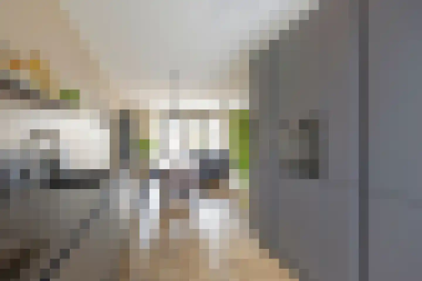 Douglashout 93 Eindhoven thumbnail 21