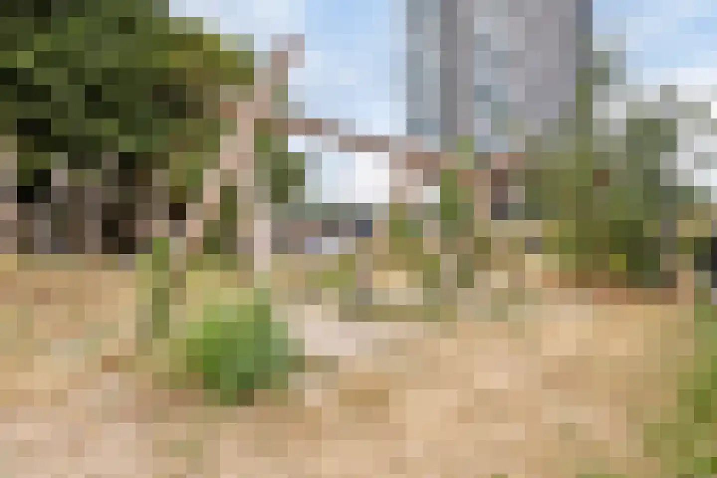 Douglashout 93 Eindhoven thumbnail 54