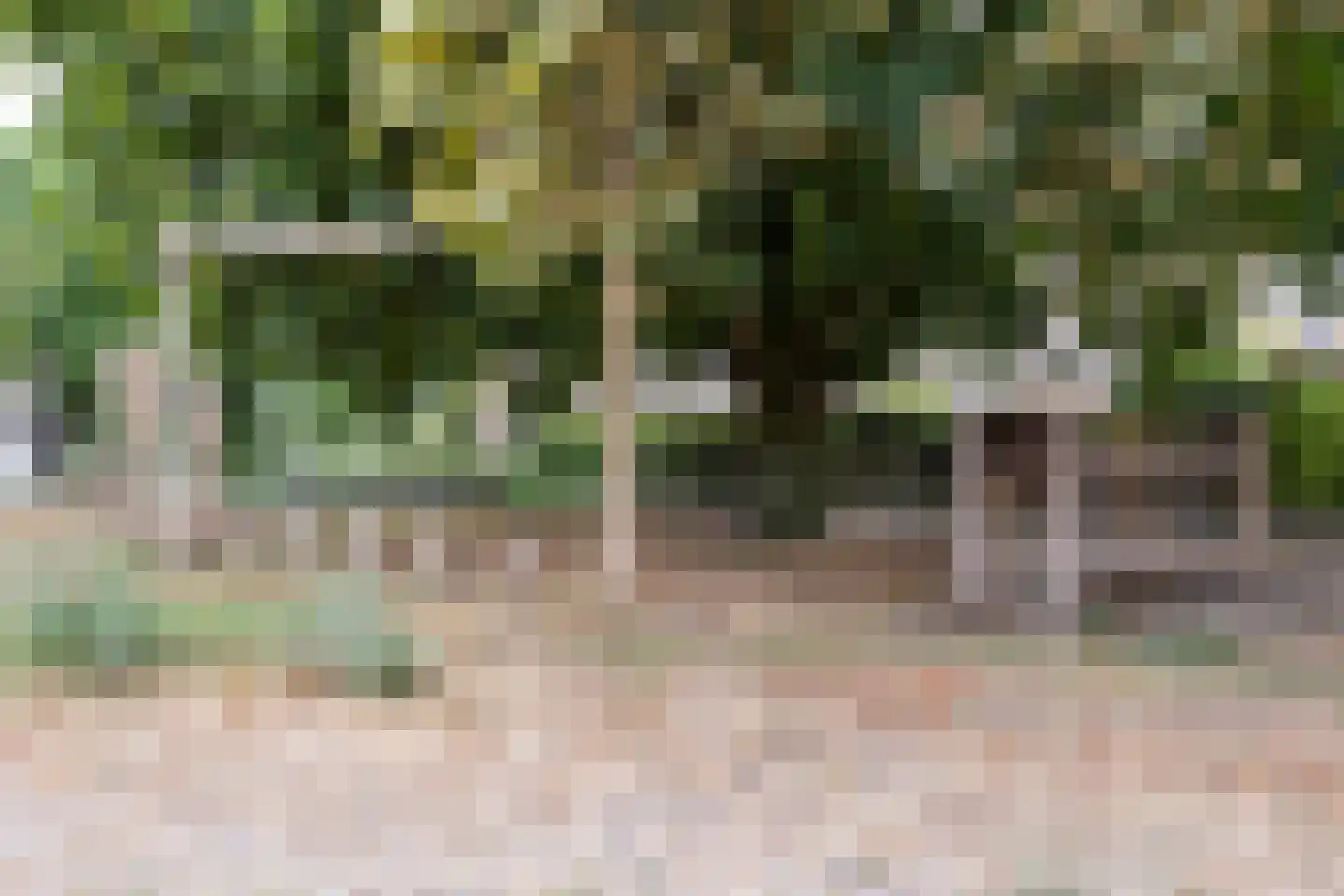 Douglashout 93 Eindhoven thumbnail 55