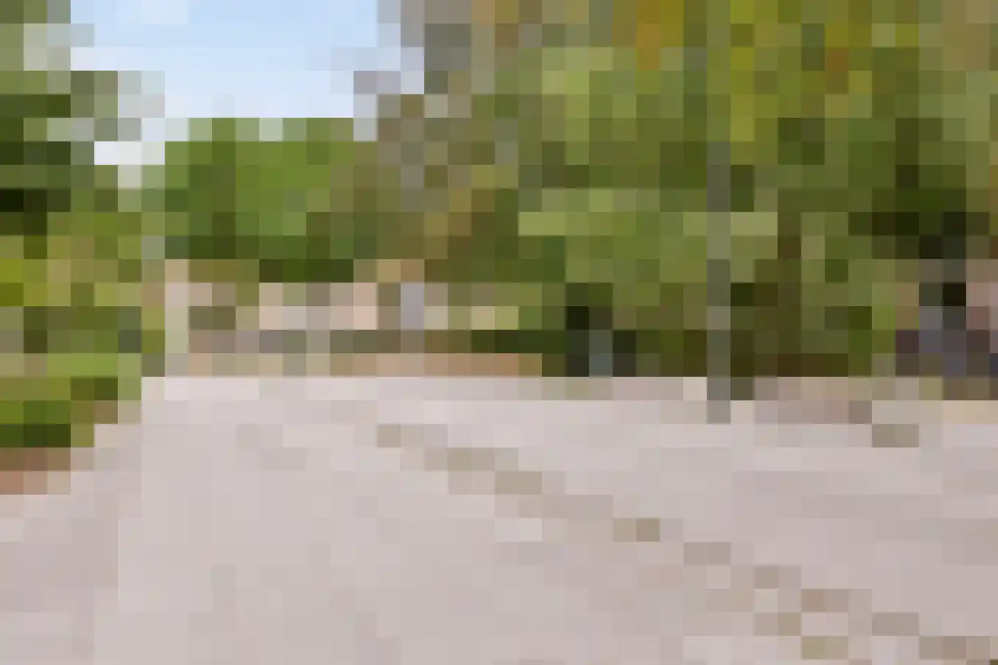 Douglashout 93 Eindhoven thumbnail 56
