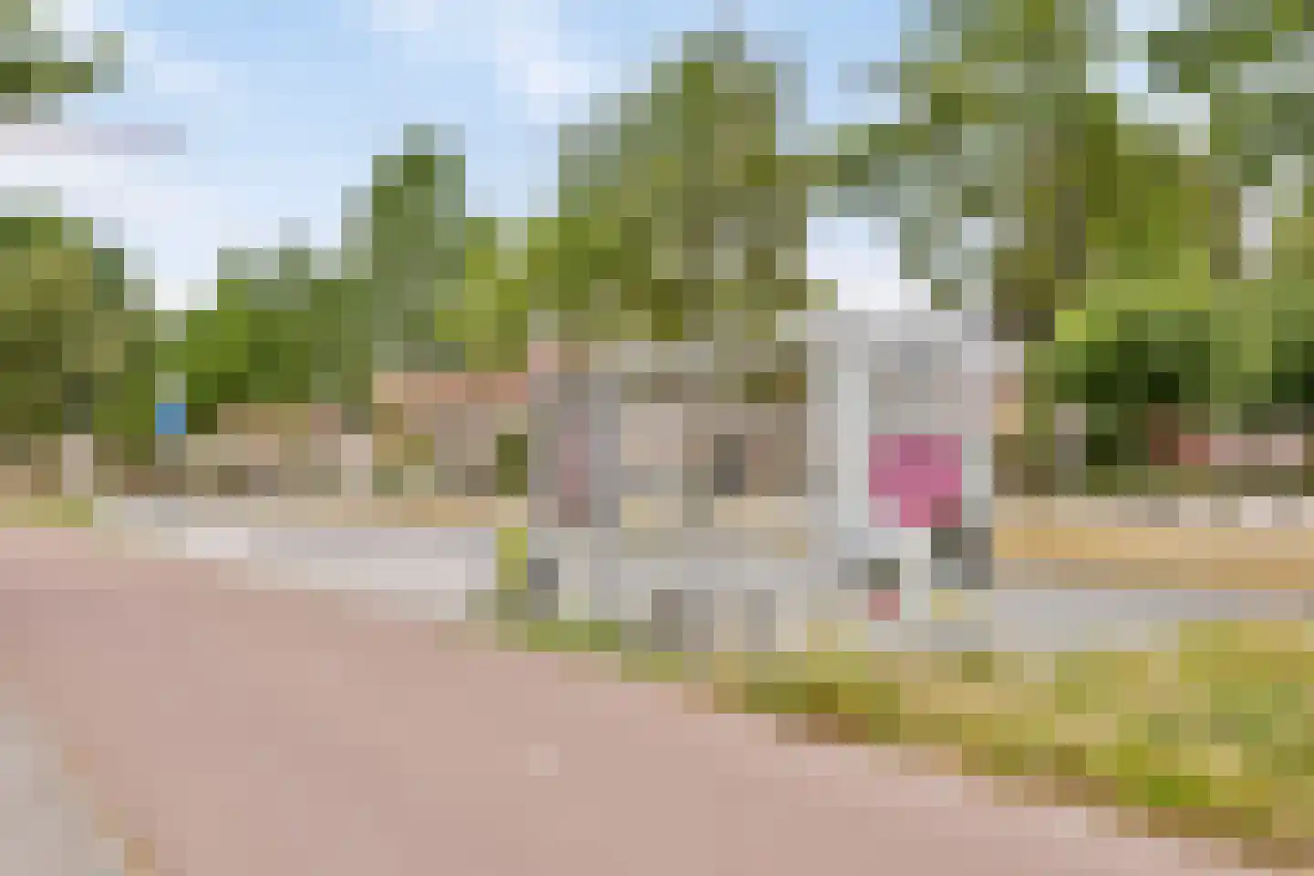 Douglashout 93 Eindhoven thumbnail 57
