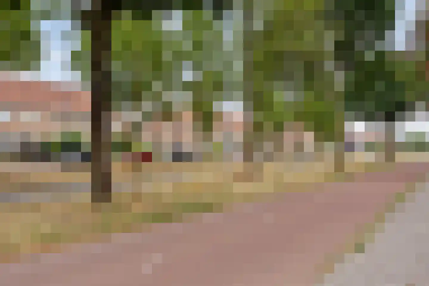 Douglashout 93 Eindhoven thumbnail 58