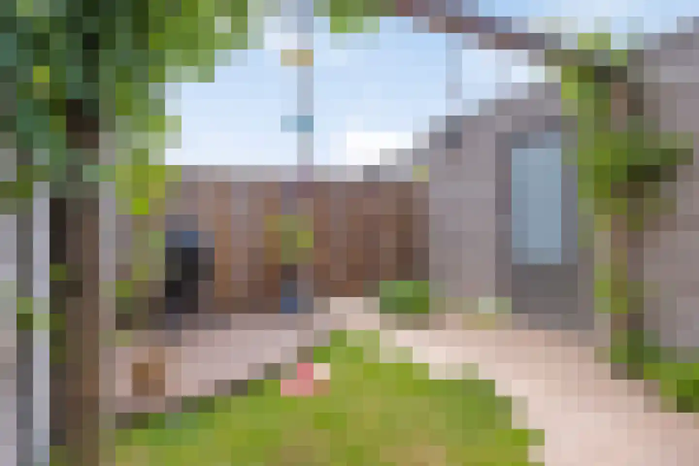 Douglashout 93 Eindhoven thumbnail 6