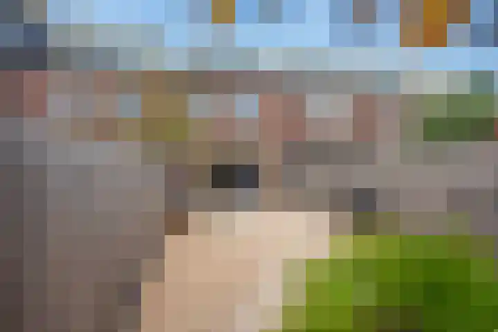 Douglaslaan 10 Den Haag thumbnail 15