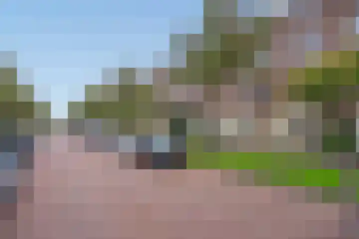 Douglaslaan 10 Den Haag thumbnail 36