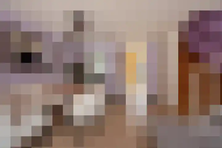 Douglaslaan 10 Den Haag thumbnail 8