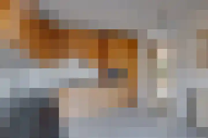Douglaslaan 17 Gorssel thumbnail 11
