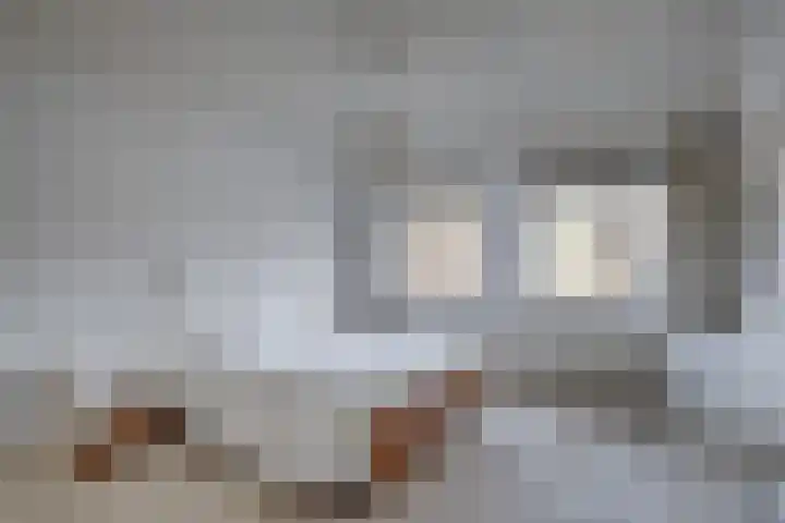 Douglaslaan 17 Gorssel thumbnail 13