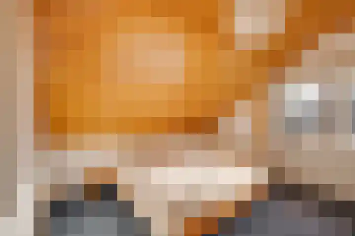 Douglaslaan 17 Gorssel thumbnail 20