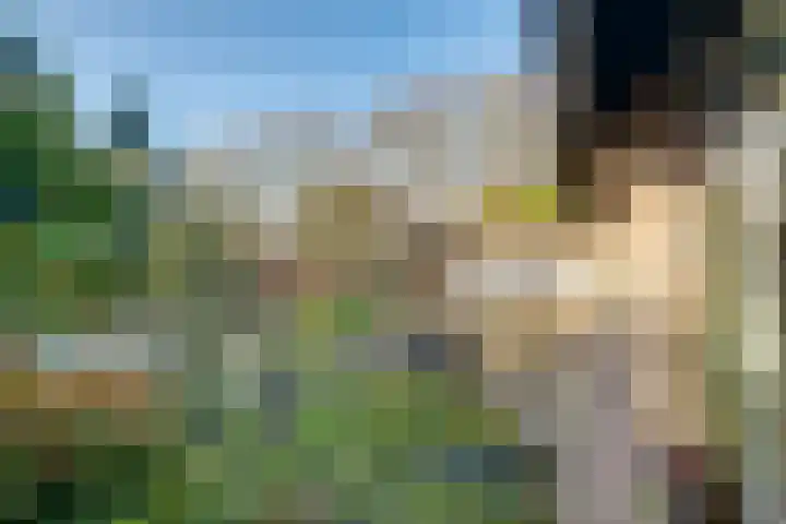 Douglaslaan 17 Gorssel thumbnail 24