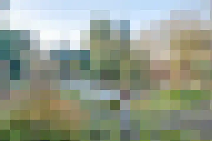 Douglaslaan 17 Gorssel thumbnail 25