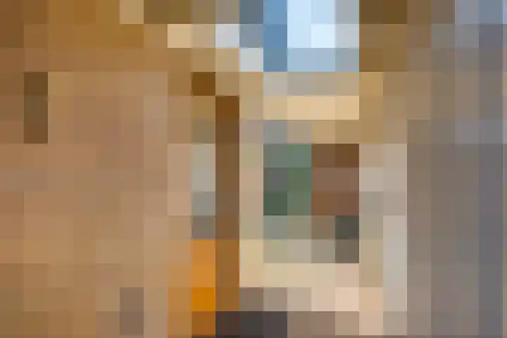Douglaslaan 17 Gorssel thumbnail 26