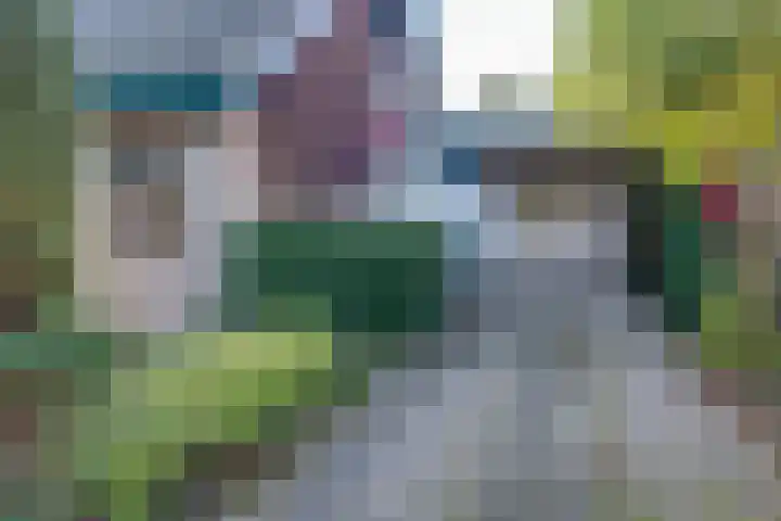 Douglaslaan 17 Gorssel thumbnail 27