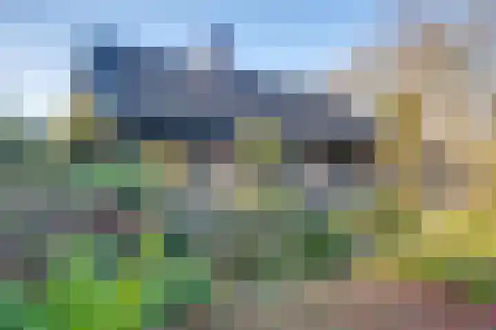 Douglaslaan 17 Gorssel thumbnail 28