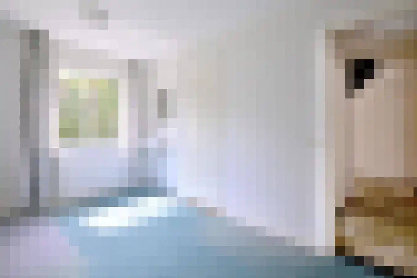 Douglaslaan 3 Gorssel thumbnail 17