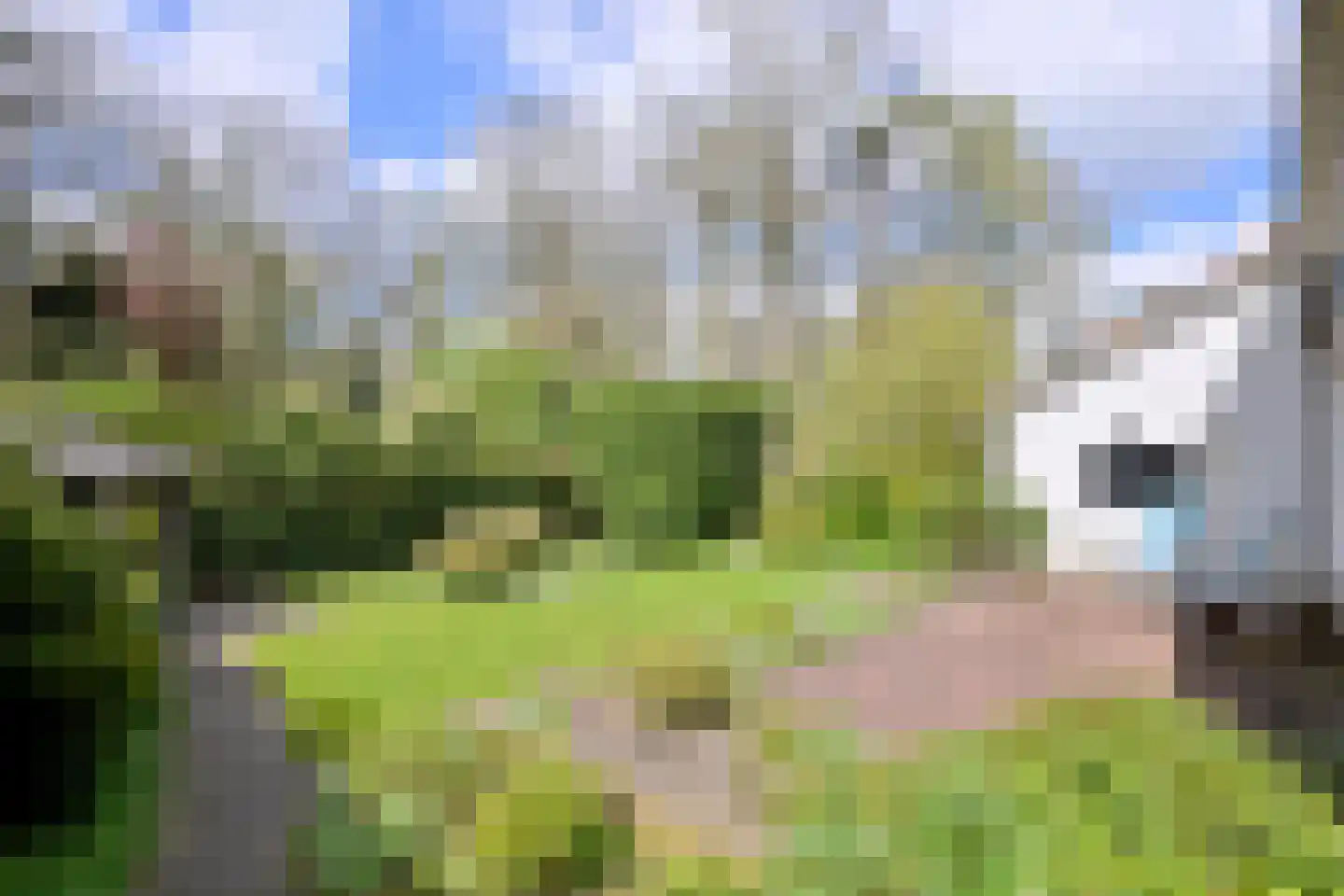 Douglaslaan 3 Gorssel thumbnail 25