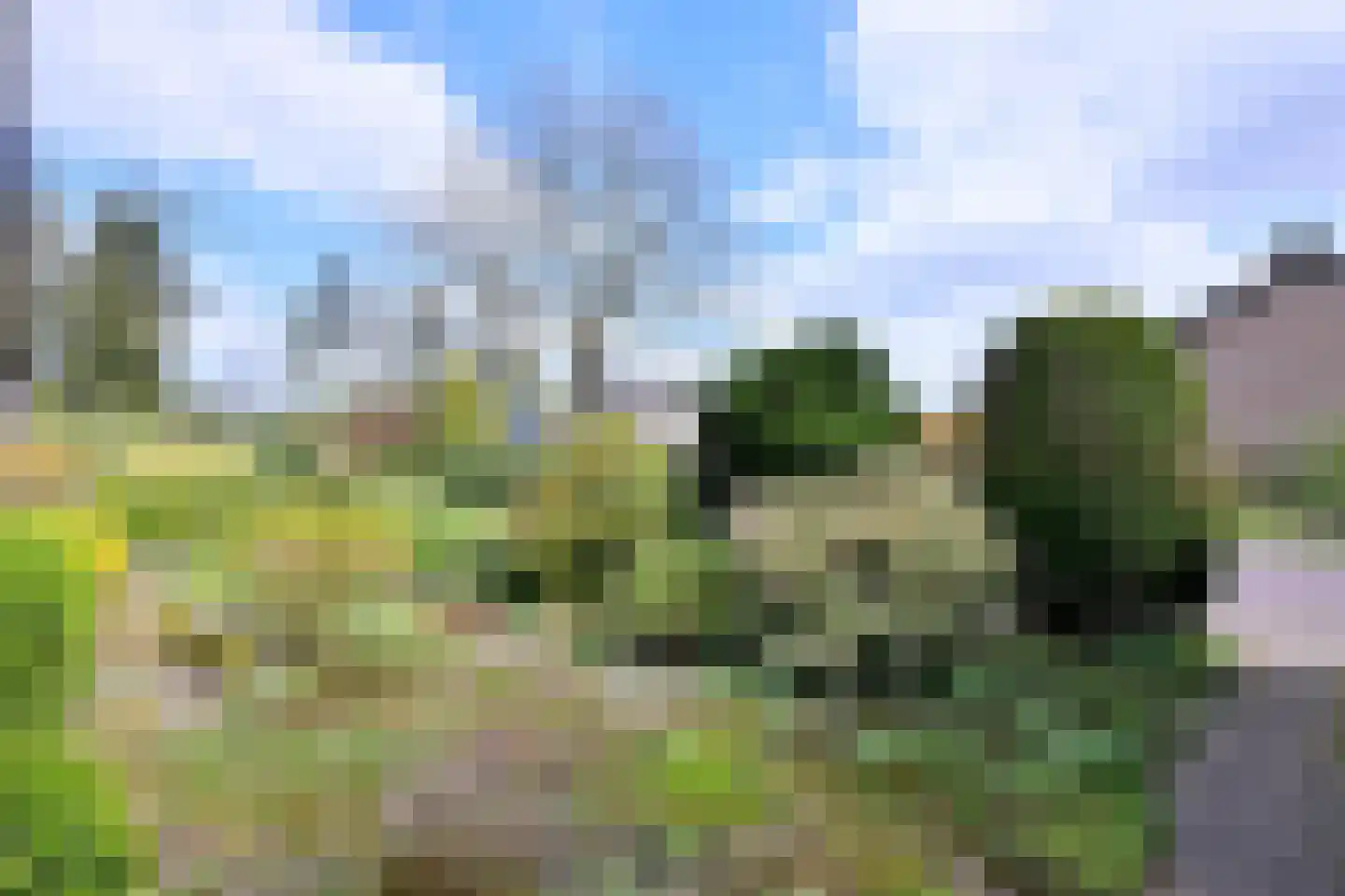 Douglaslaan 3 Gorssel thumbnail 27