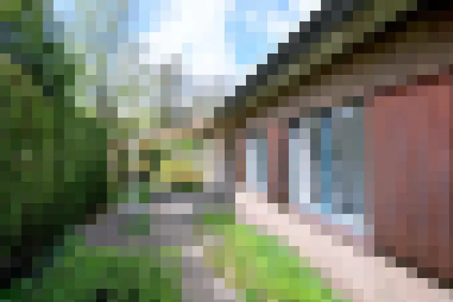 Douglaslaan 3 Gorssel thumbnail 5