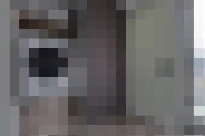 Doumaat 1 Westerbork thumbnail 17