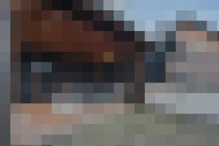 Doumaat 1 Westerbork thumbnail 40