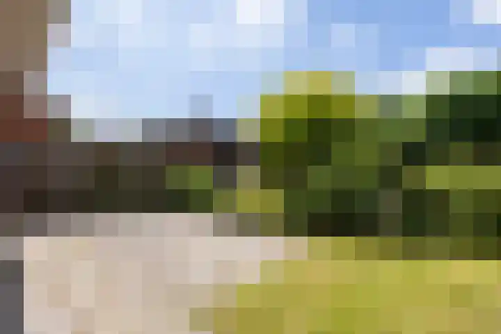 Doumaat 9 Westerbork thumbnail 41