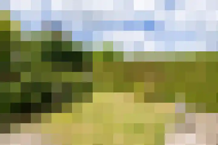 Doumaat 9 Westerbork thumbnail 43