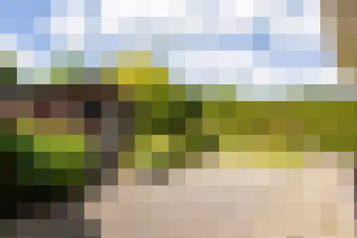 Doumaat 9 Westerbork thumbnail 44