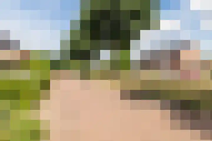 Doumaat 9 Westerbork thumbnail 46