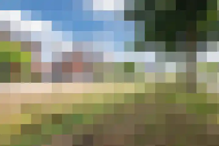 Doumaat 9 Westerbork thumbnail 47