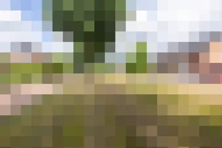 Doumaat 9 Westerbork thumbnail 48