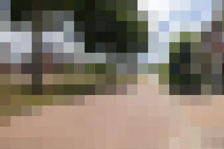Doumaat 9 Westerbork thumbnail 5