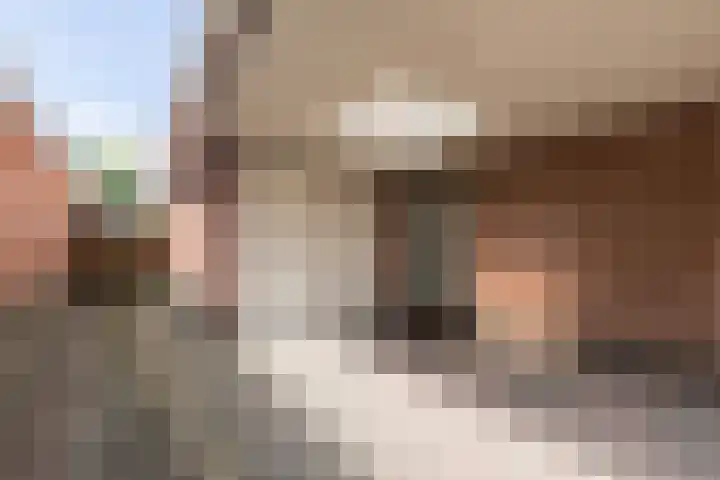 Doumaat 9 Westerbork thumbnail 6