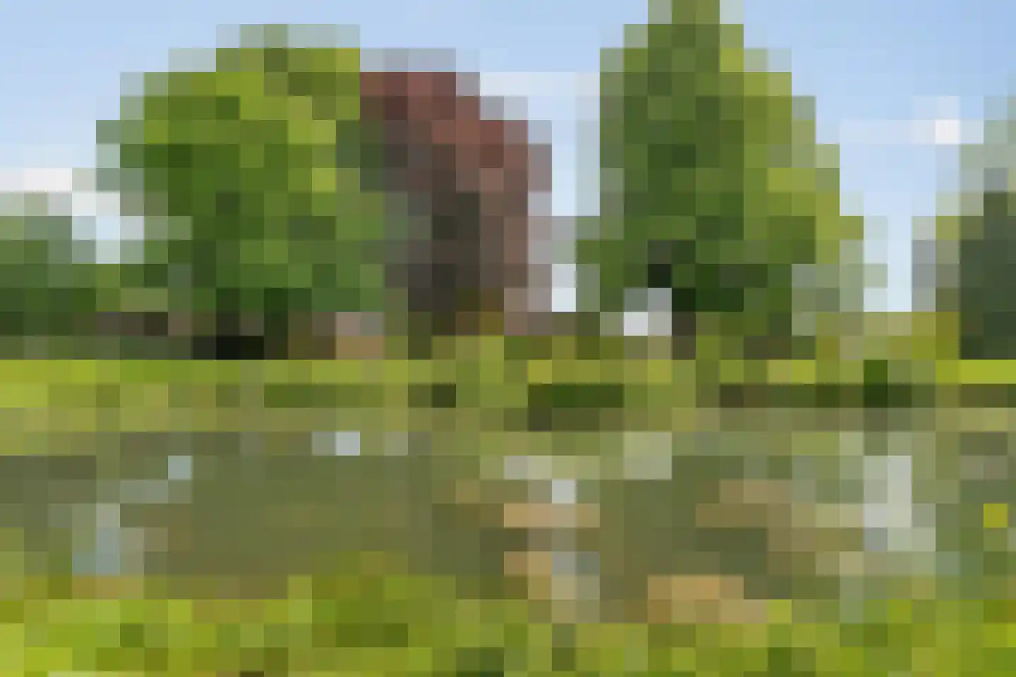 Dousbergweg 65 Maastricht thumbnail 6
