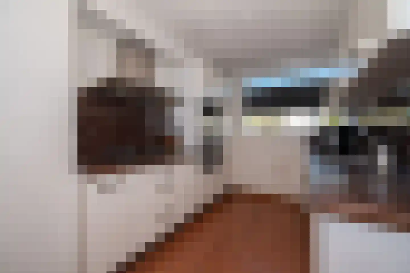 Douschans 12 Zoetermeer thumbnail 11