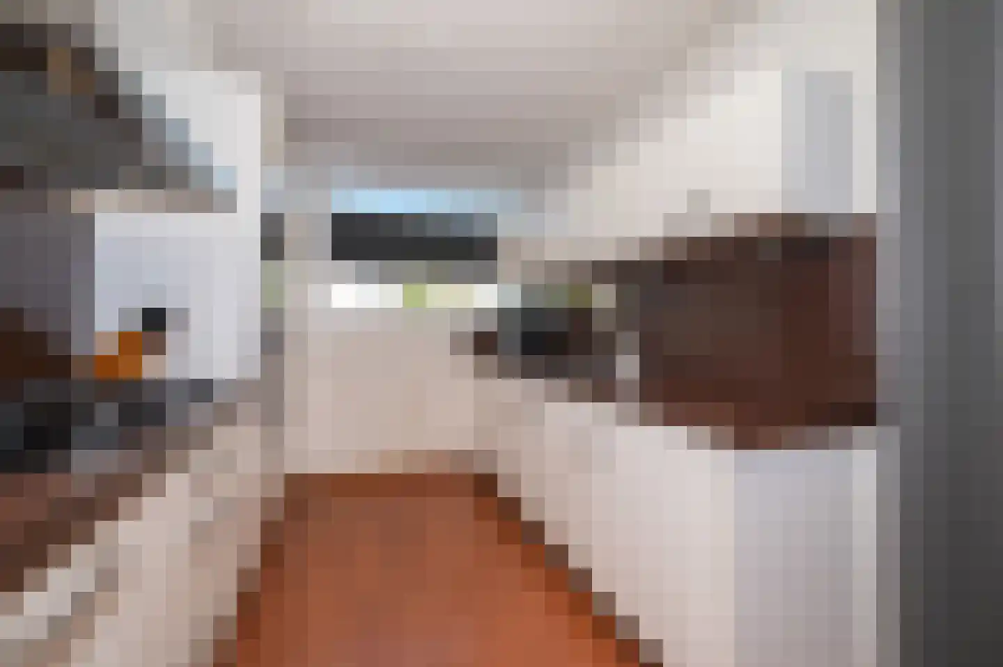 Douschans 12 Zoetermeer thumbnail 12
