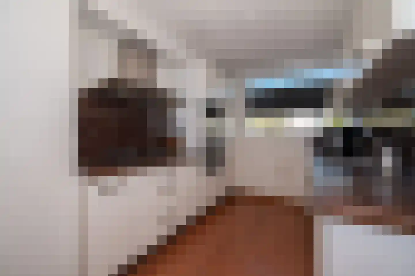 Douschans 12 Zoetermeer thumbnail 12